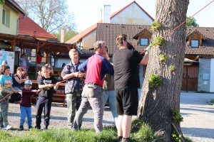 img_5155.jpg