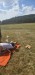 IMG-20250706-WA0003