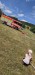 IMG-20250706-WA0018