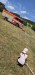 IMG-20250706-WA0023