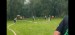 IMG-20250727-WA0010