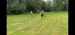 IMG-20250727-WA0007